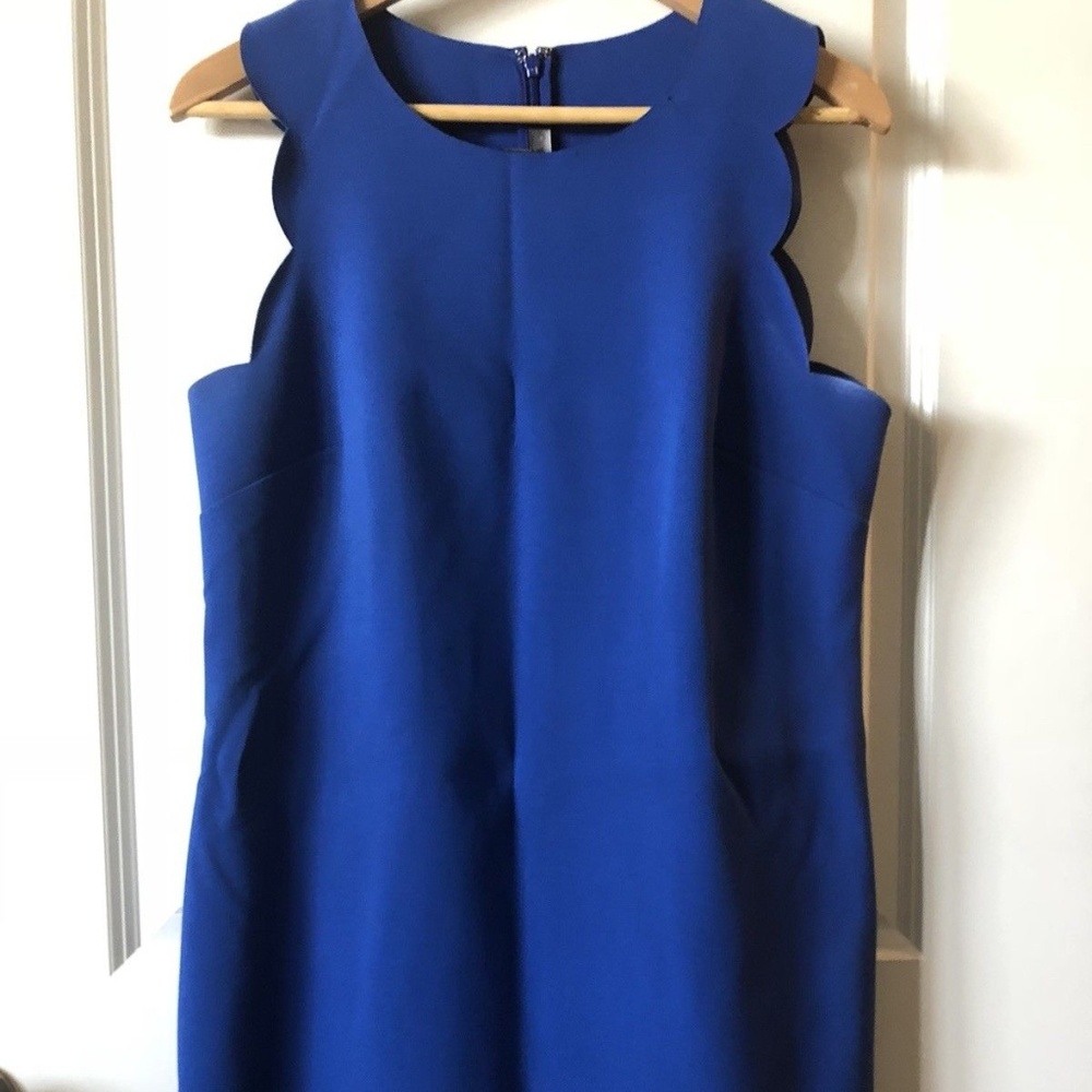 J Crew Royal Blue Size 10 Scalloped Dress